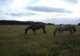 Equitation Plaisance à Villemurlin