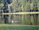 Etang du Prévot à Clergoux