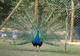 Photo Ferme Animalière