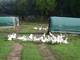 Photo Ferme de Verdanel