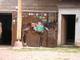 Photo Ferme Equestre du Griou