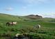 Photo Ferme Equestre Les Revers