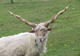 Photo Ferme la Toison d'Or