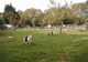 Photo Ferme Nature La Dame Blanche
