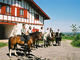 Ferme Urkodea à Hasparren