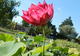 Photo Fleurs d'Eau