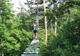 Franois Parc Aventure à Franois