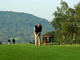 Golf 18 Trous d'Amneville à Amneville-les-Thermes