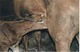 Photo Haras de la Ferme des Hospices
