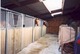Photo Haras de la Ferme des Hospices