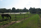 Haras de Louravi à Bazainville