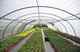 Photo Hortimarine