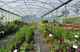 Photo Hortimarine