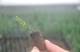 Photo Hortimarine