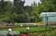 Photo Hortimarine
