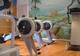 Photo ICR Fitness Club