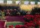 Photo Jardin de l'Alchimiste