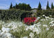 Jardin de l'Alchimiste à Eygalières