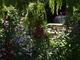 Photo Jardin de la Bourdonniere
