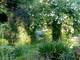 Photo Jardin de la Briqueterie