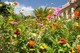 Photo Jardin de la Serre de la Madone