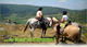 Photo La Crinière Saugaine