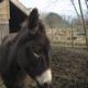 Photo La Ferme des Isles
