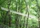 Photo La Forêt des Aventuriers à Saint Martin de Belleville