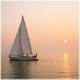 Photo Association La Voile Pour Tous