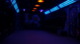 Photo Laser Quest Coignieres