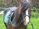 Photo Le Carrousel Aquitain