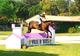 Photo Le Haras National d'Uzès en 2012