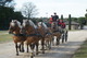 Photo Le Haras National d'Uzès en 2012