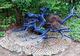 Photo Le Jardin d'Eguilles