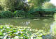 Photo Le Jardin des Nénuphars Latour-Marliac