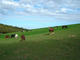 Photo Le Manège de Pégase