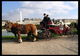Les Attelages d'Ile de France à Versailles
