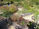 Les Jardins de Coursiana à La Romieu