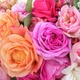 Photo Les jardins de Roquelin