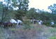 Les Poneys du Verderet à Sainte-Maxime