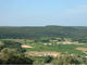 Photo Les Vignes de l'Arque