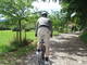 Location VTT Lac de Saint Cyr à Saint-Cyr