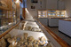 Maison du Fossile à Lion-sur-Mer