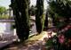 Photo Manade Mailhan
