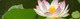 Photo Massages & Gym à Domicile