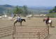 Mathew's Ranch - Équitation Western à Montmorin
