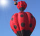 Montgolfières Nacelle et Coccinelle à Étiolles