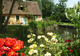 Photo Moulin de la Diversière