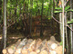 Photo Naturellement Paintball à Bussière-Galant