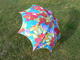Photo Parapluies H2O